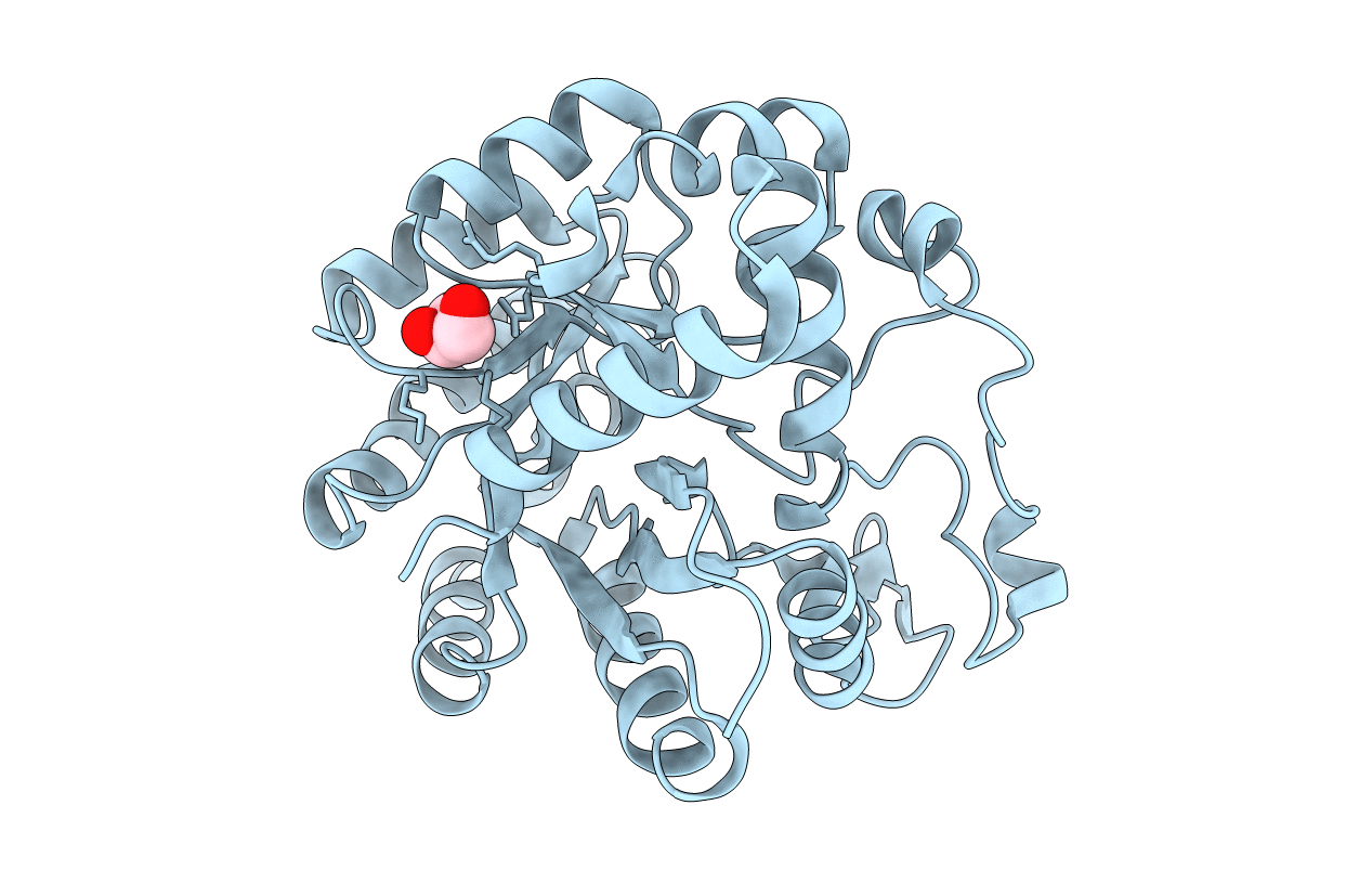 3IPW image