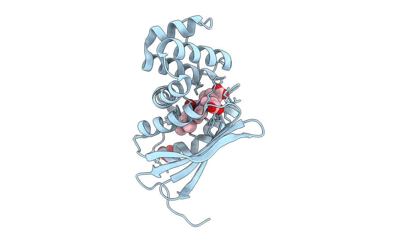 3IQB image