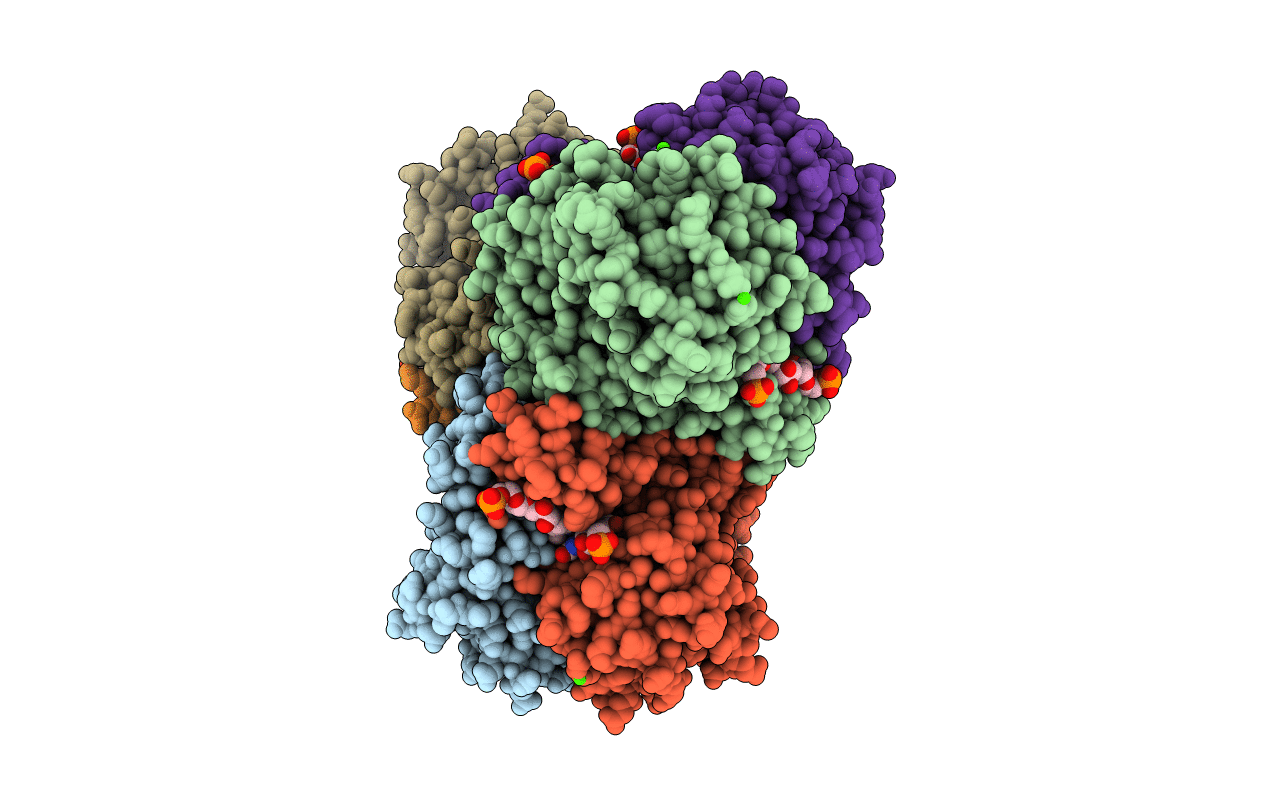 3IQE image