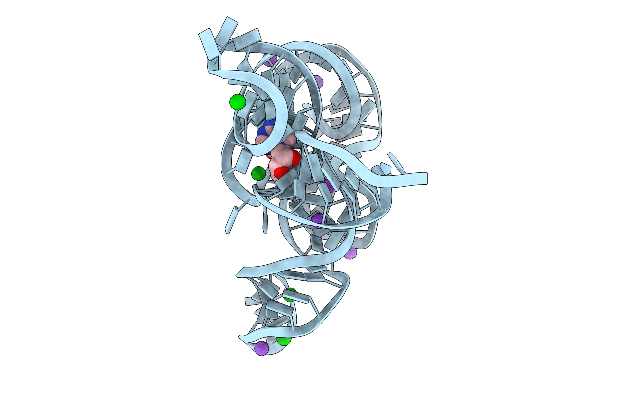 3IQN image