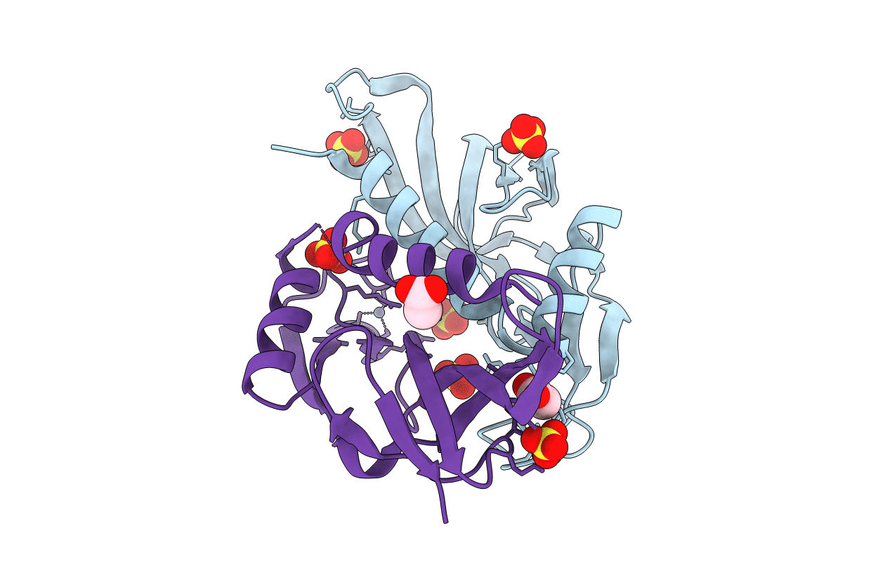 3IRB image