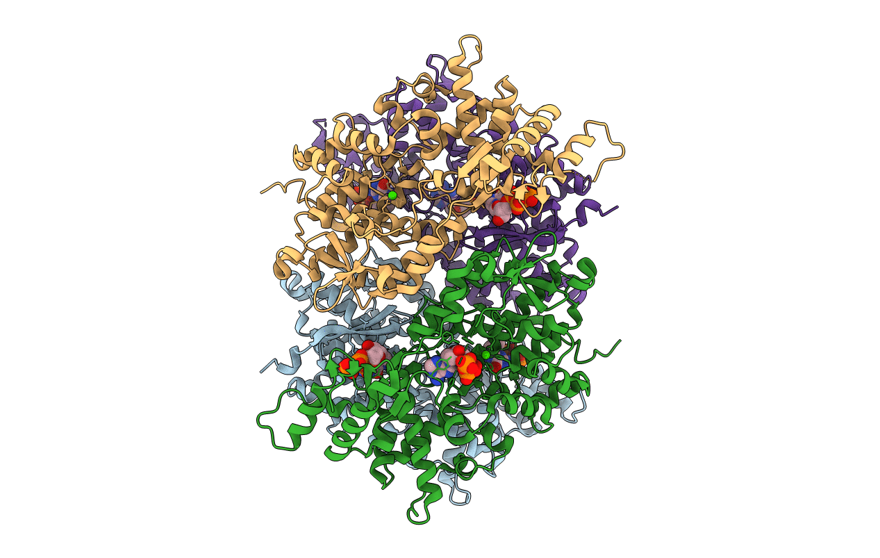 3IRH image