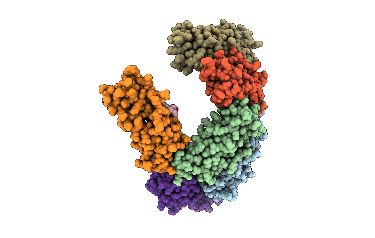 3ISF image