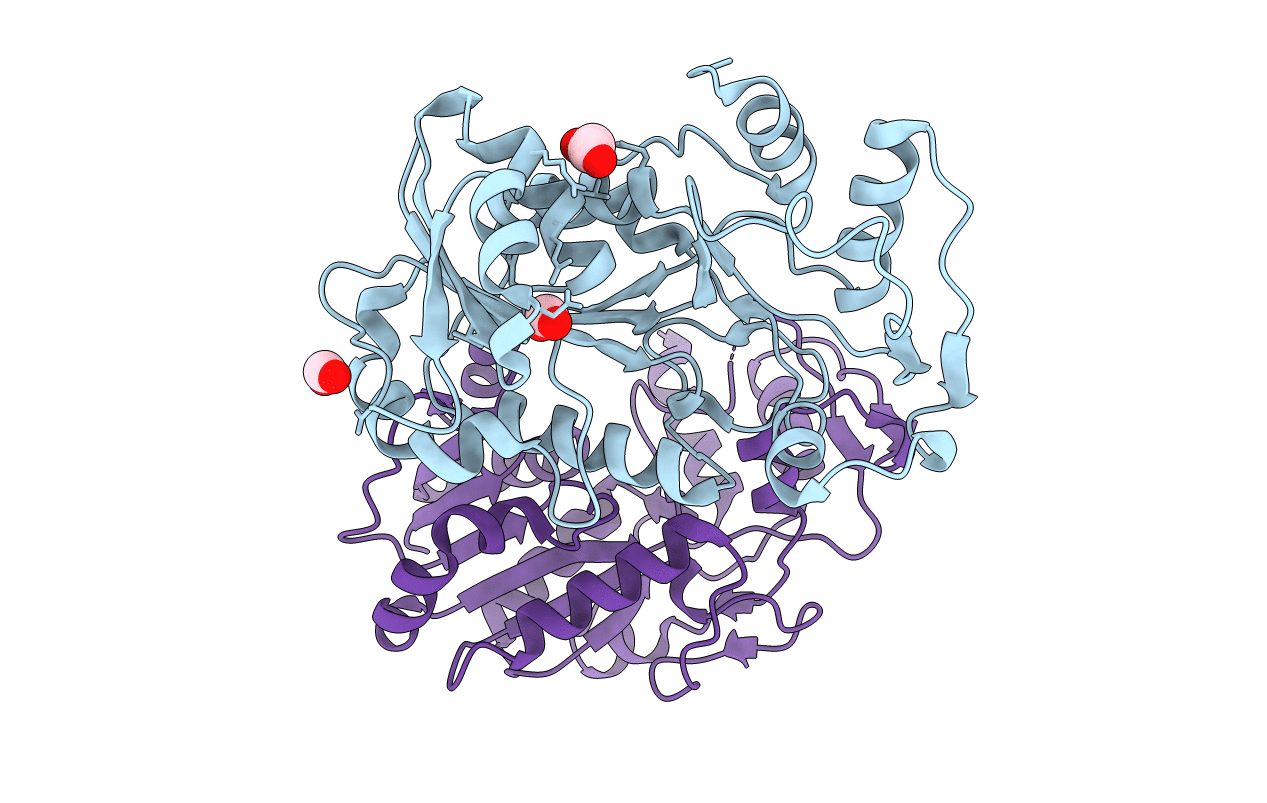 3IUS image