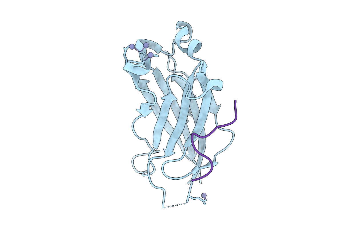 3IVB image