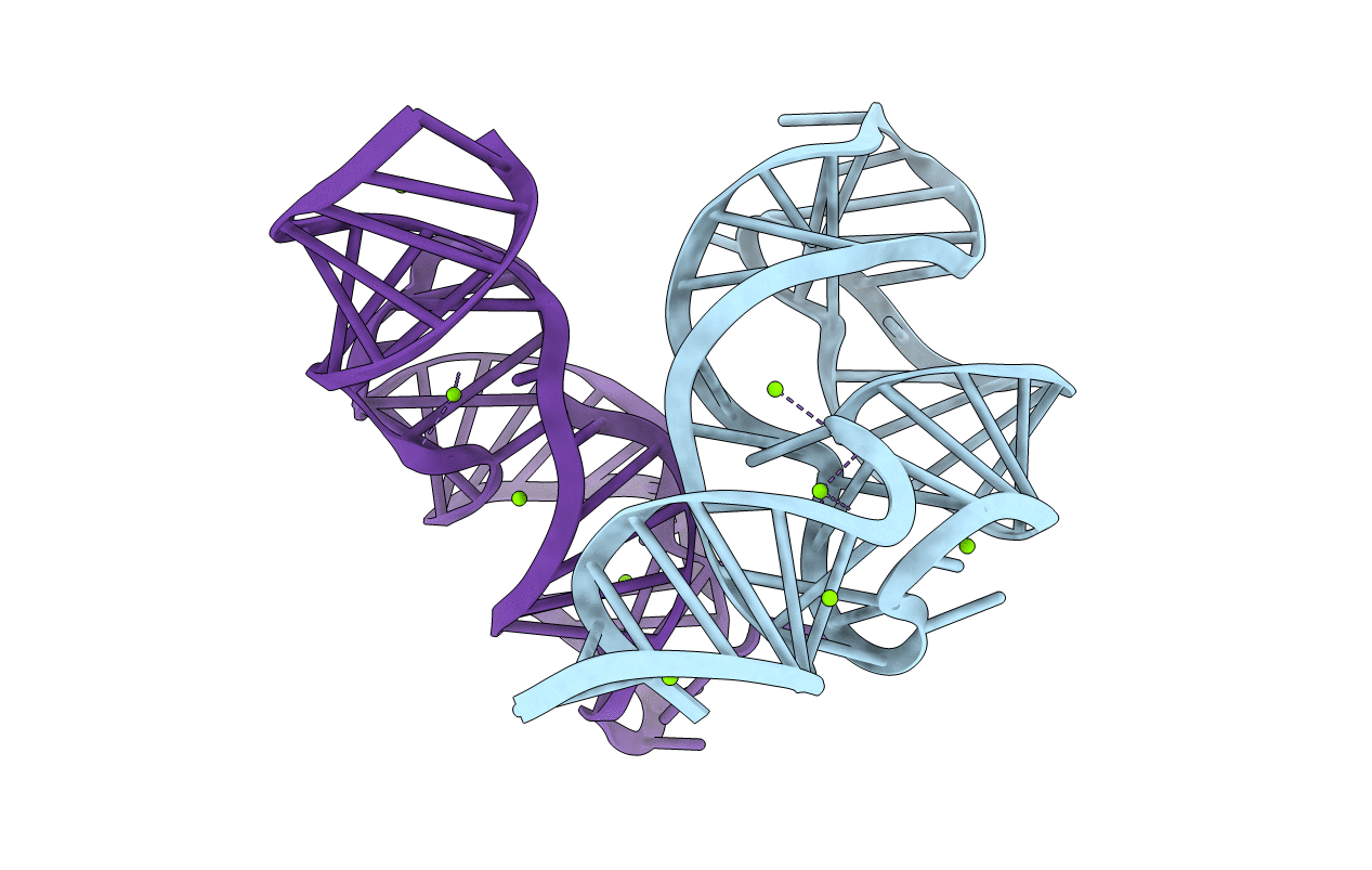 3IVN image