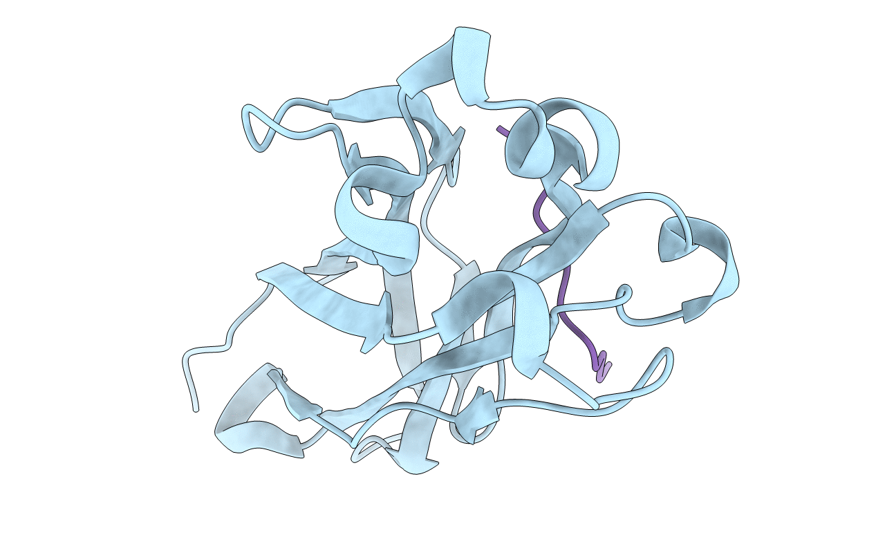 3IVV image