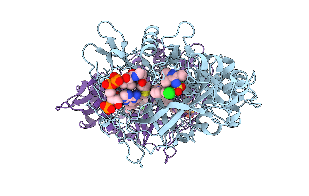 3IWE image