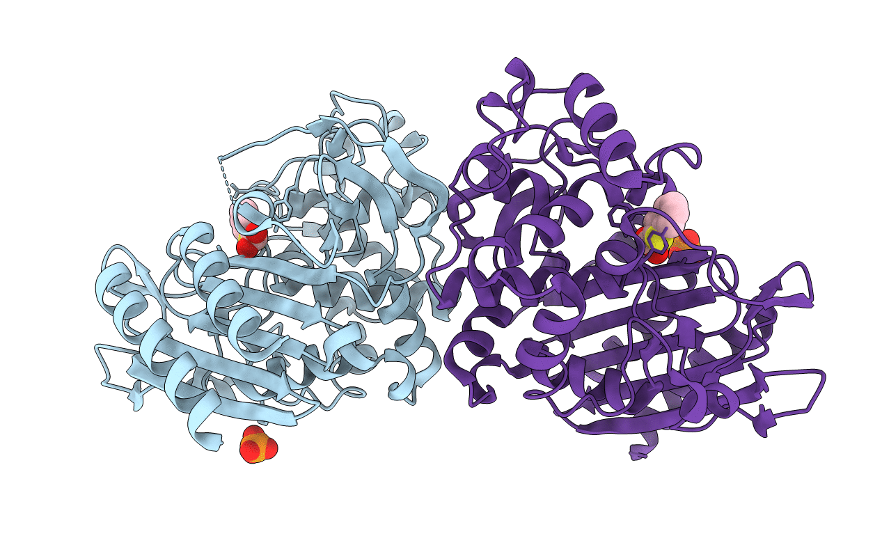 3IXB image