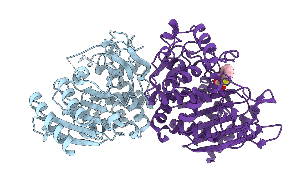 3IXG image