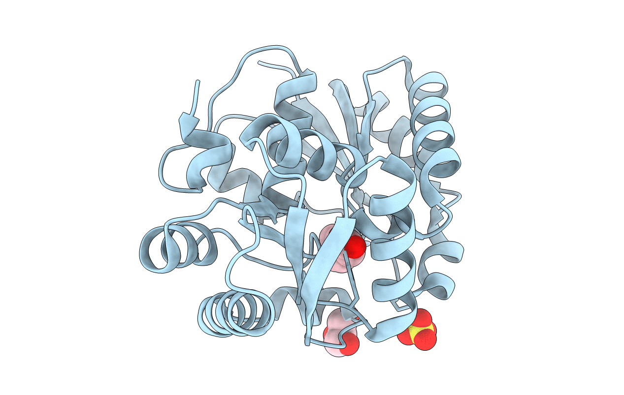 3IXL image
