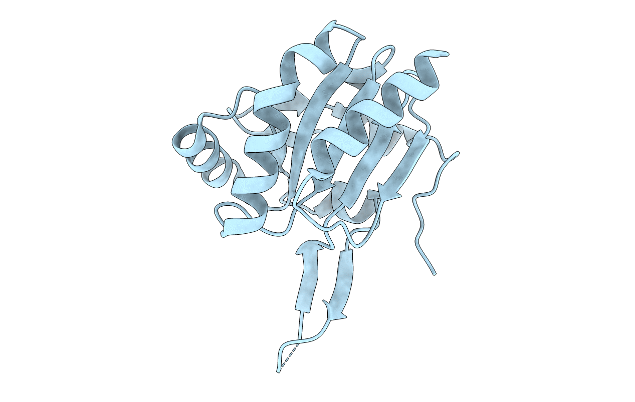 3IXR image