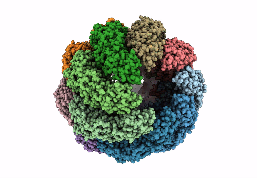 3IZL image