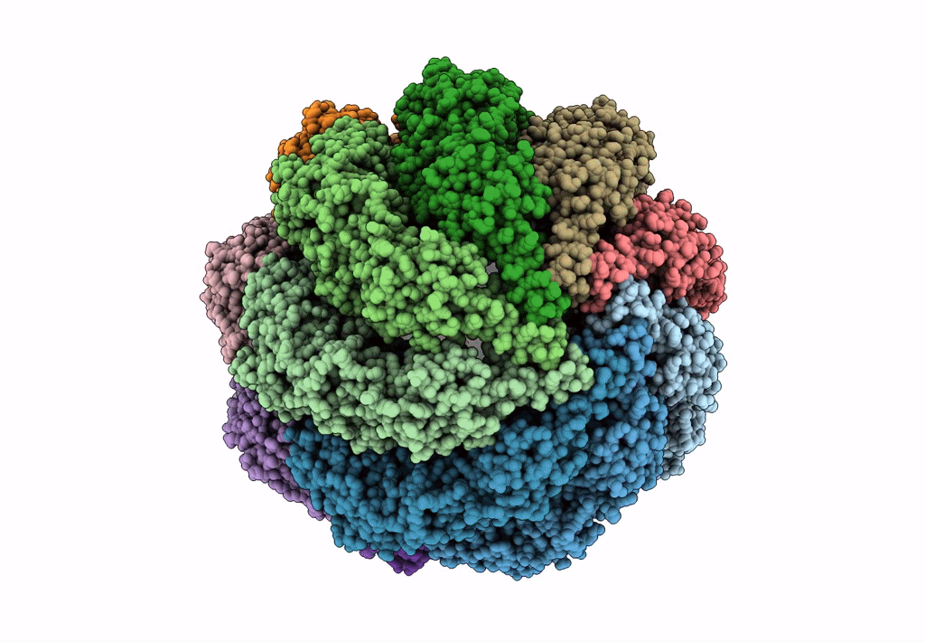3IZM image