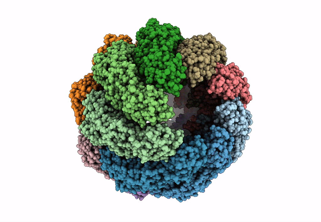 3J03 image