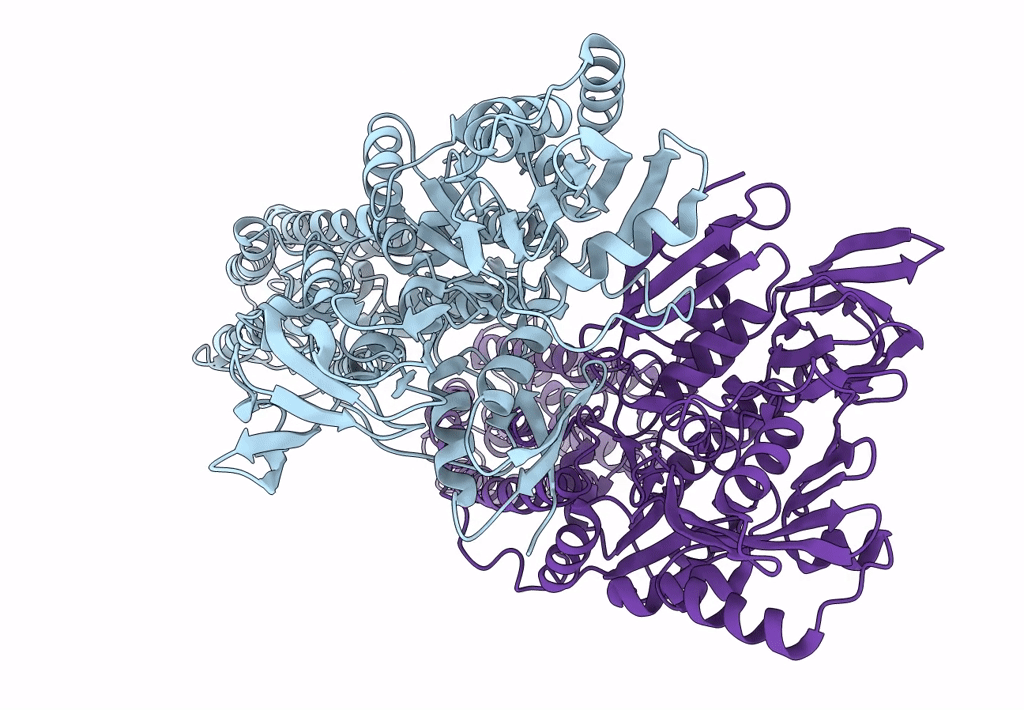 3J09 image