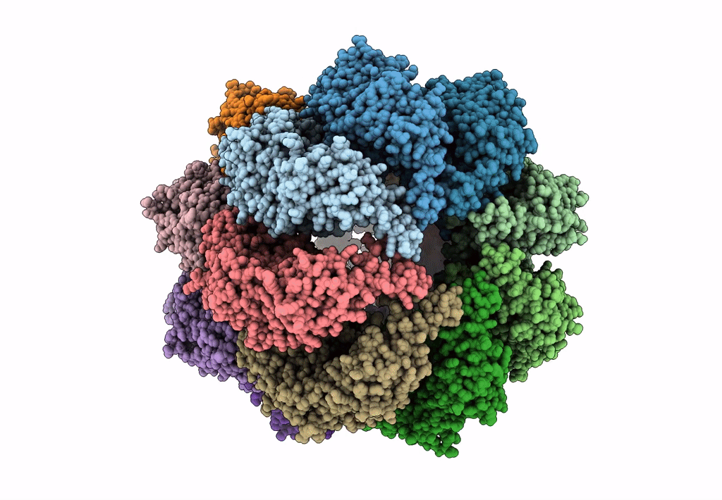 3J1B image