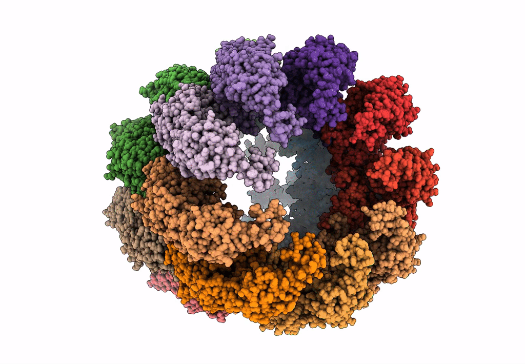 3J1E image