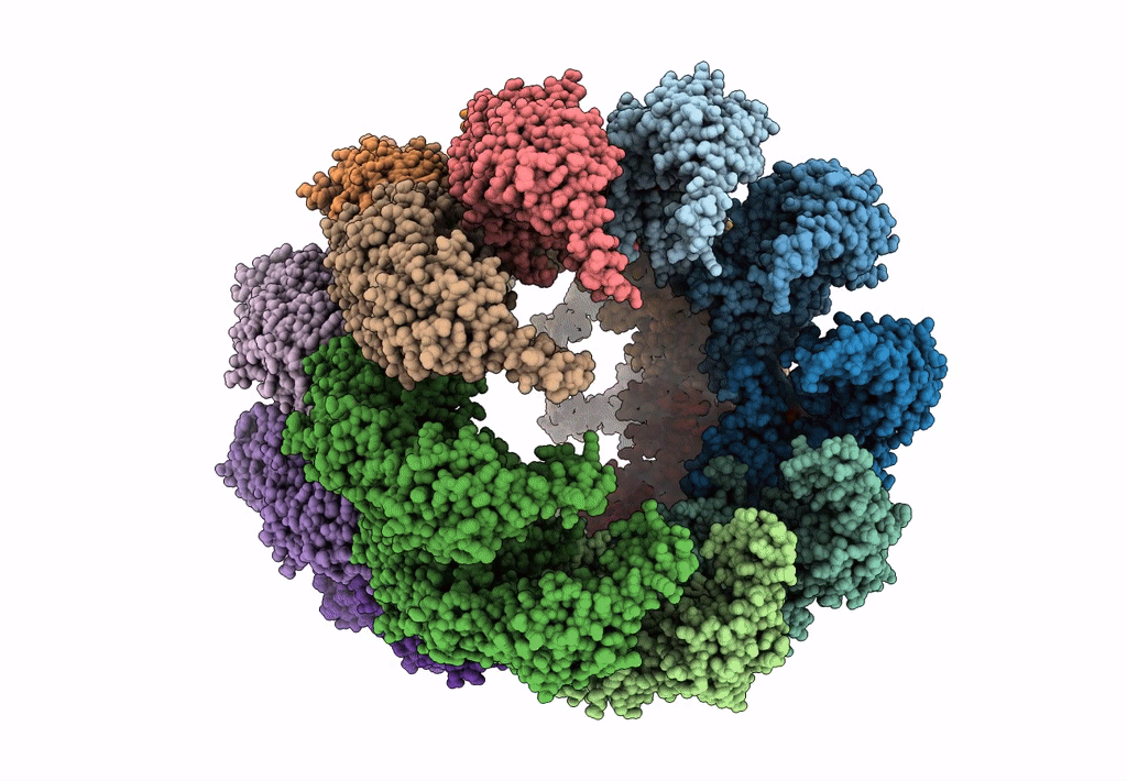 3J1F image