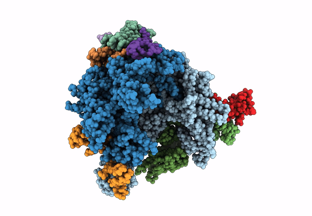 3J1N image