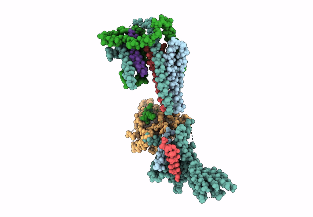 3J1O image