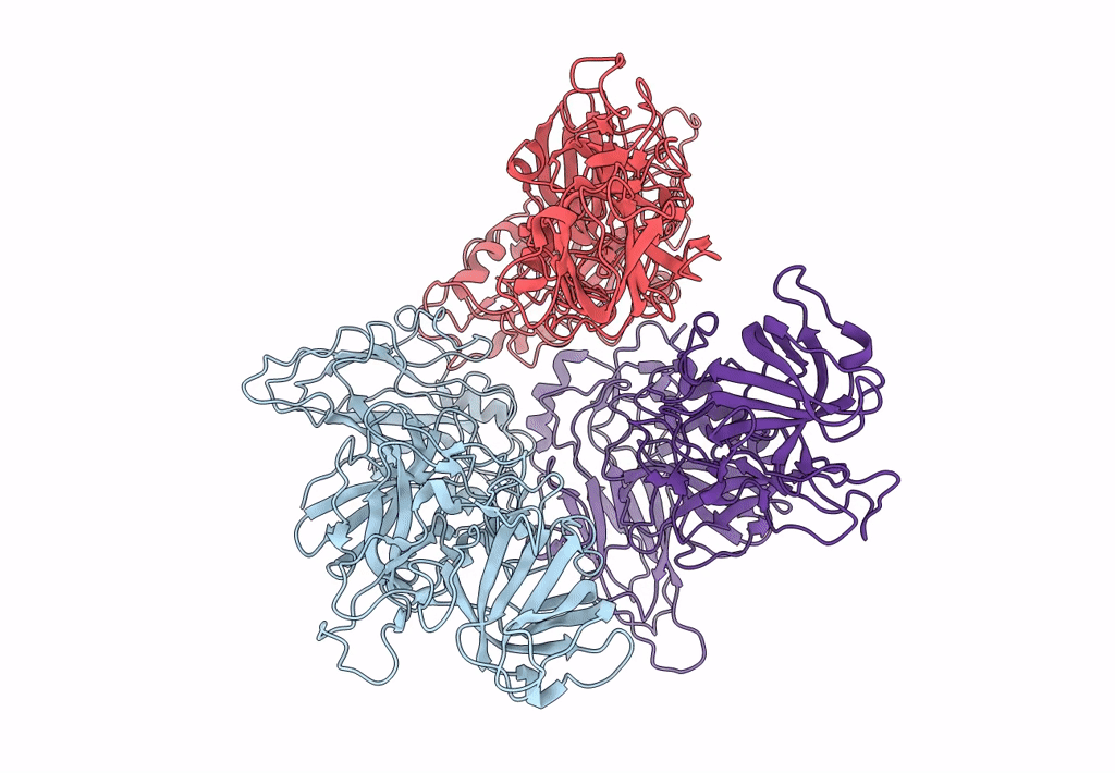 3J1P image