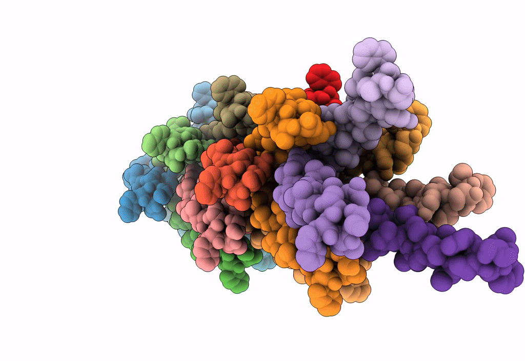 3J1R image