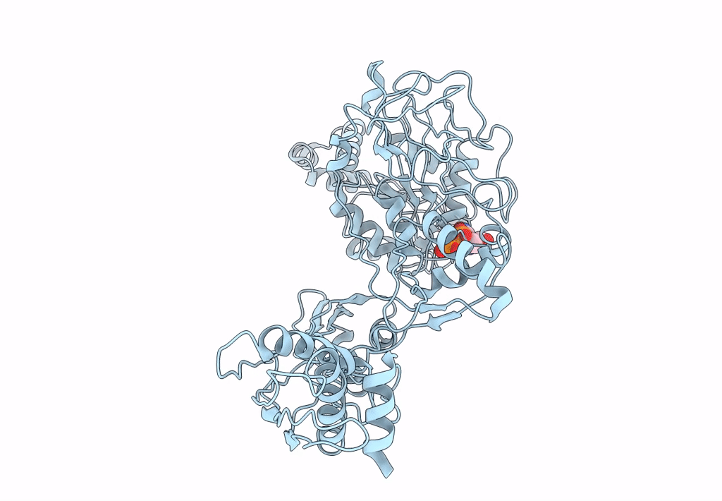 3J25 image