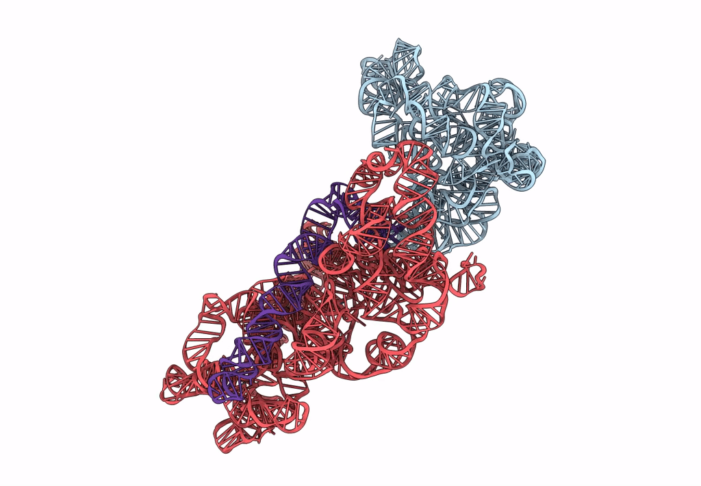 3J2C image