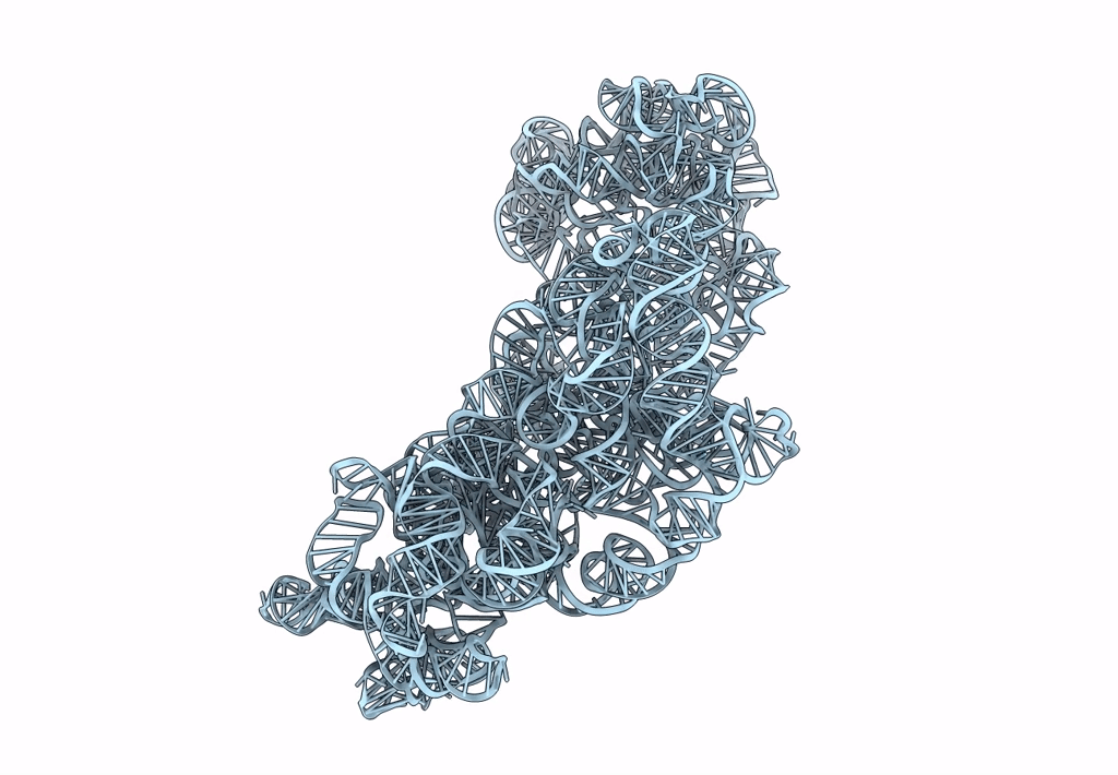 3J2D image
