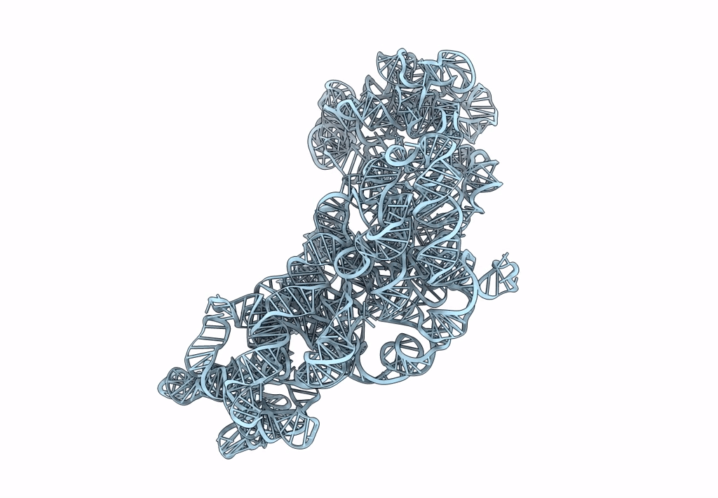 3J2E image