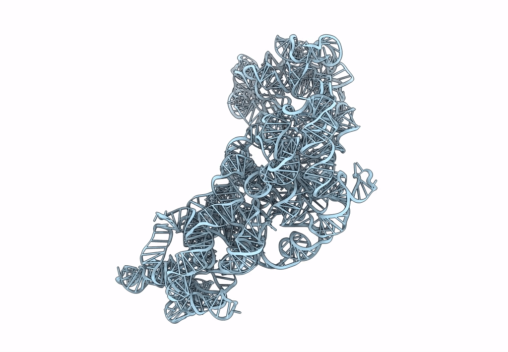 3J2F image