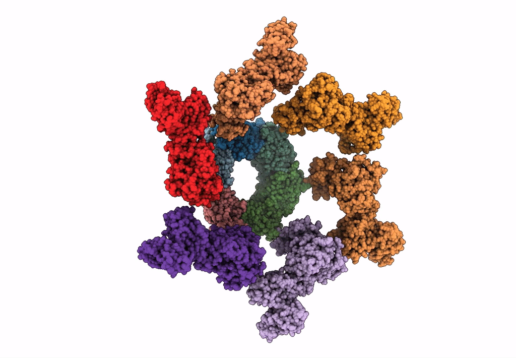 3J2M image