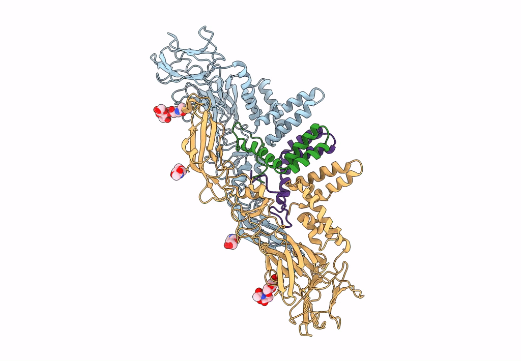 3J2P image