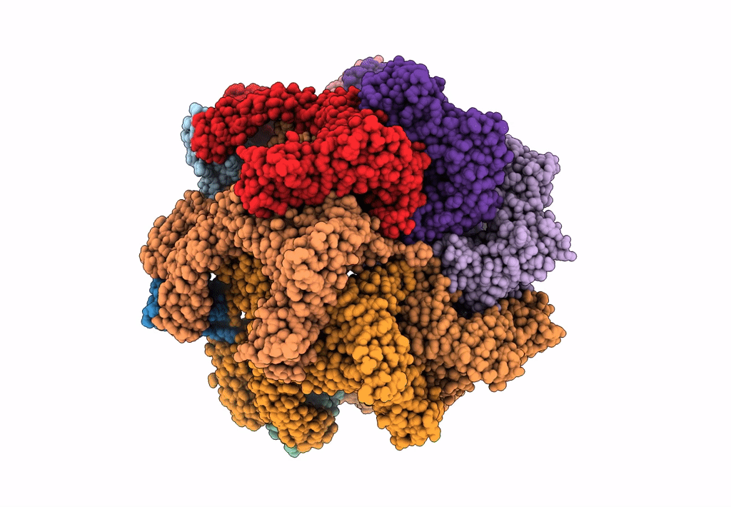 3J3S image
