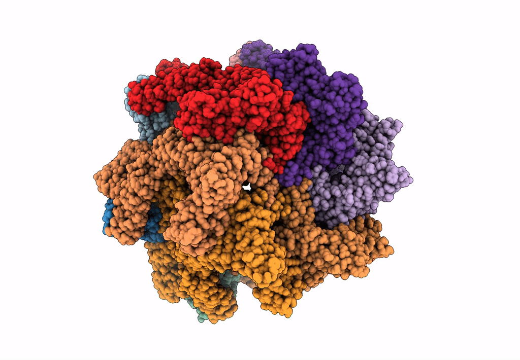 3J3U image
