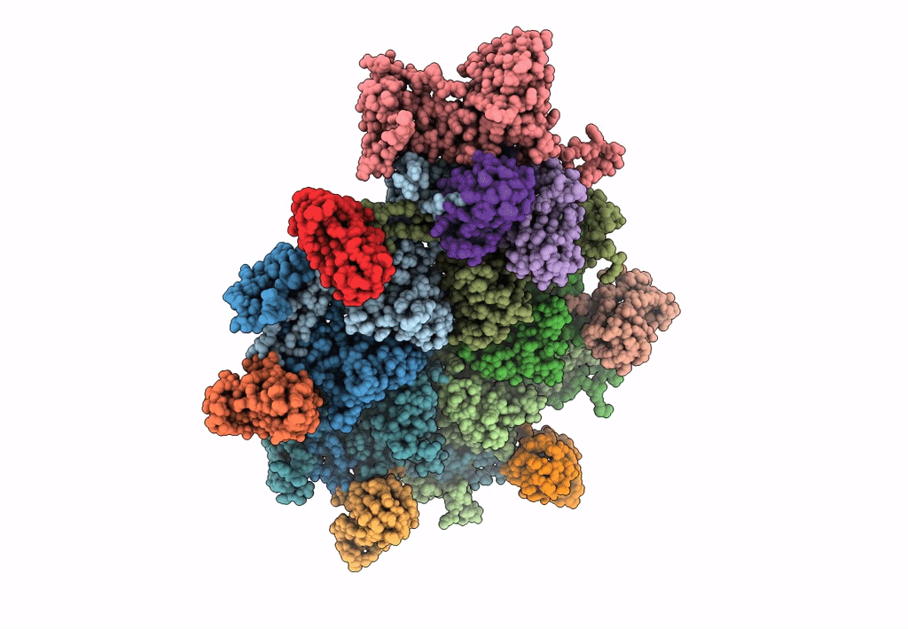 3J40 image