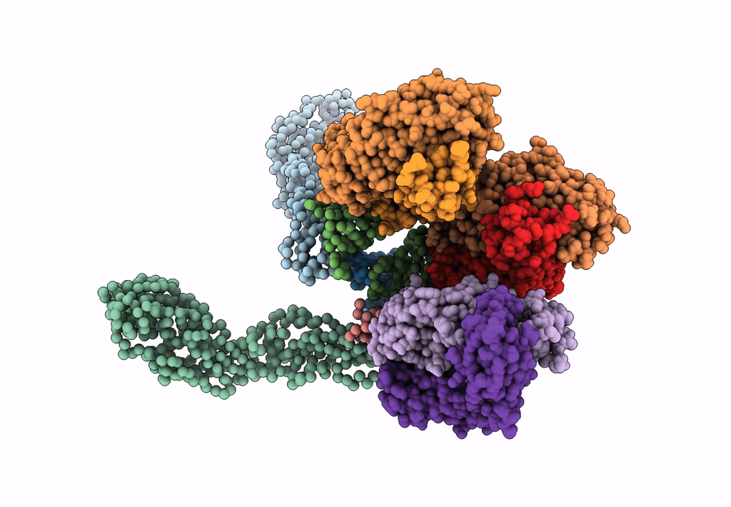 3J42 image