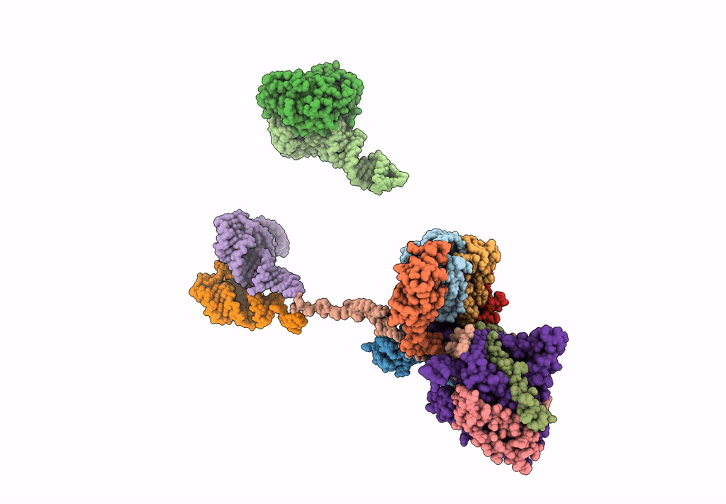 3J46 image