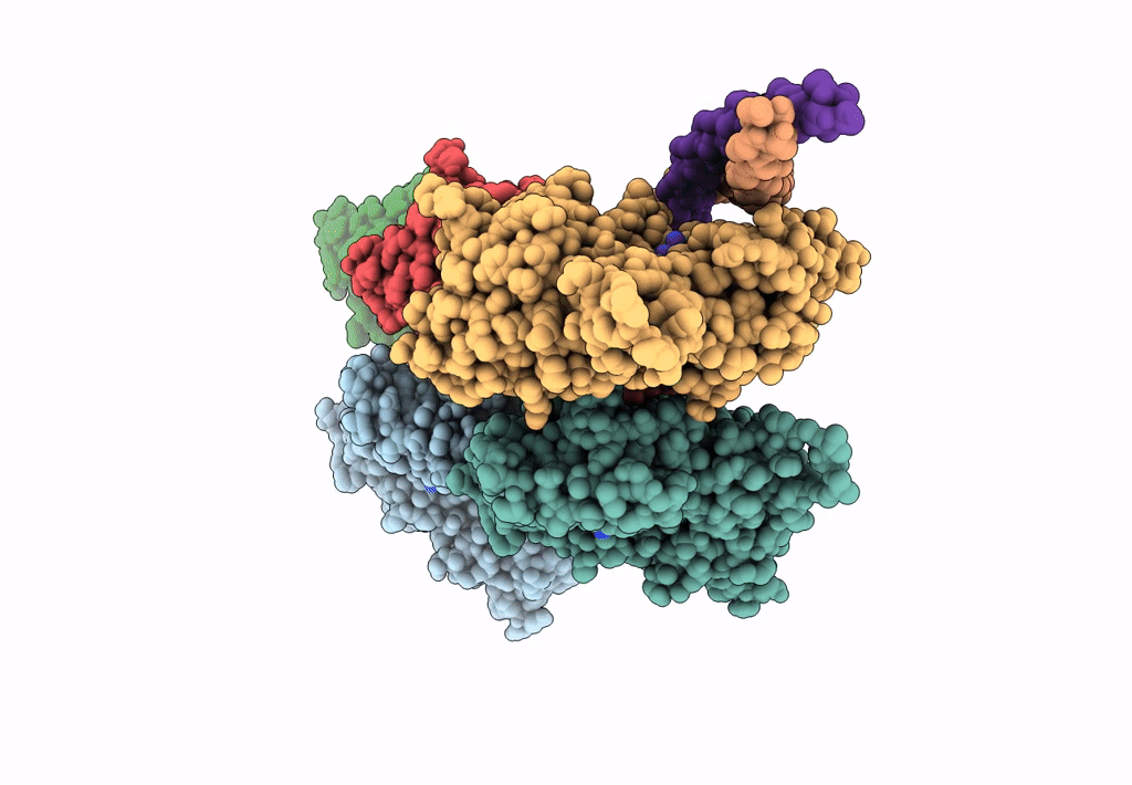 3J4K image