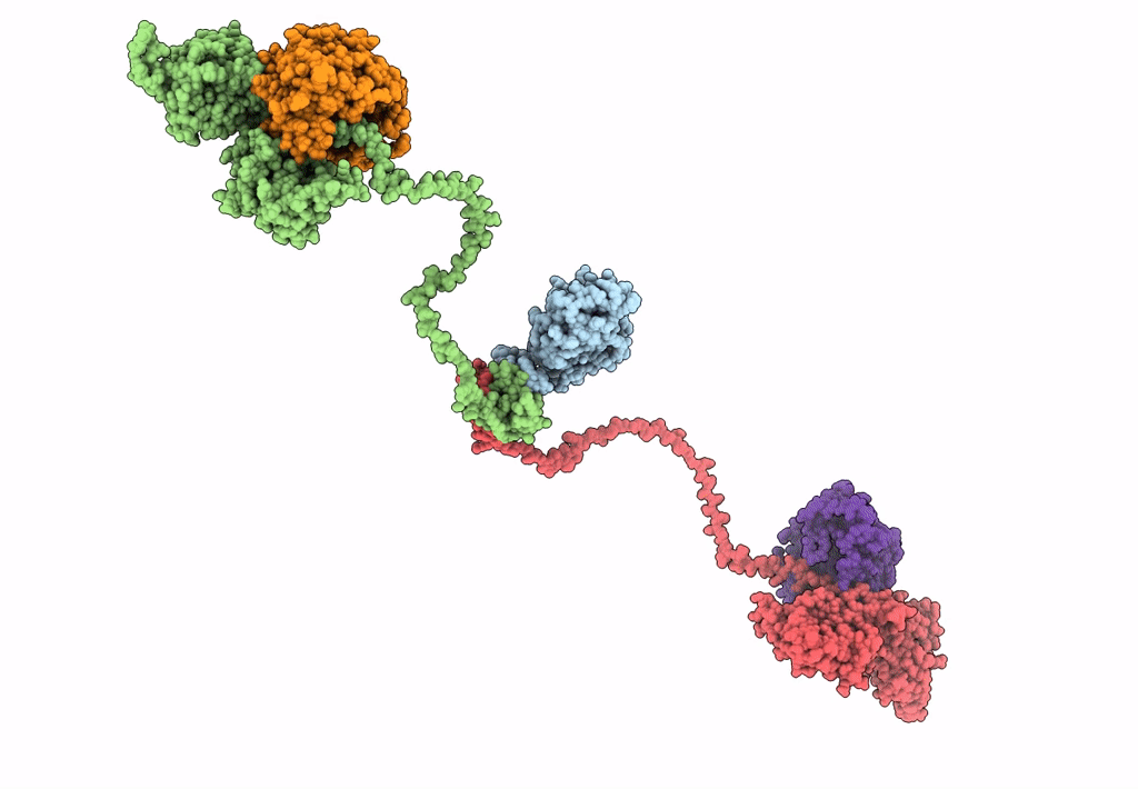 3J4R image