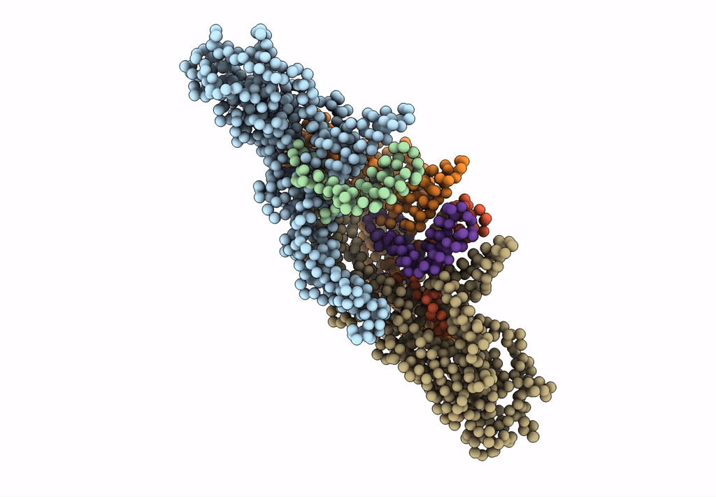 3J6T image
