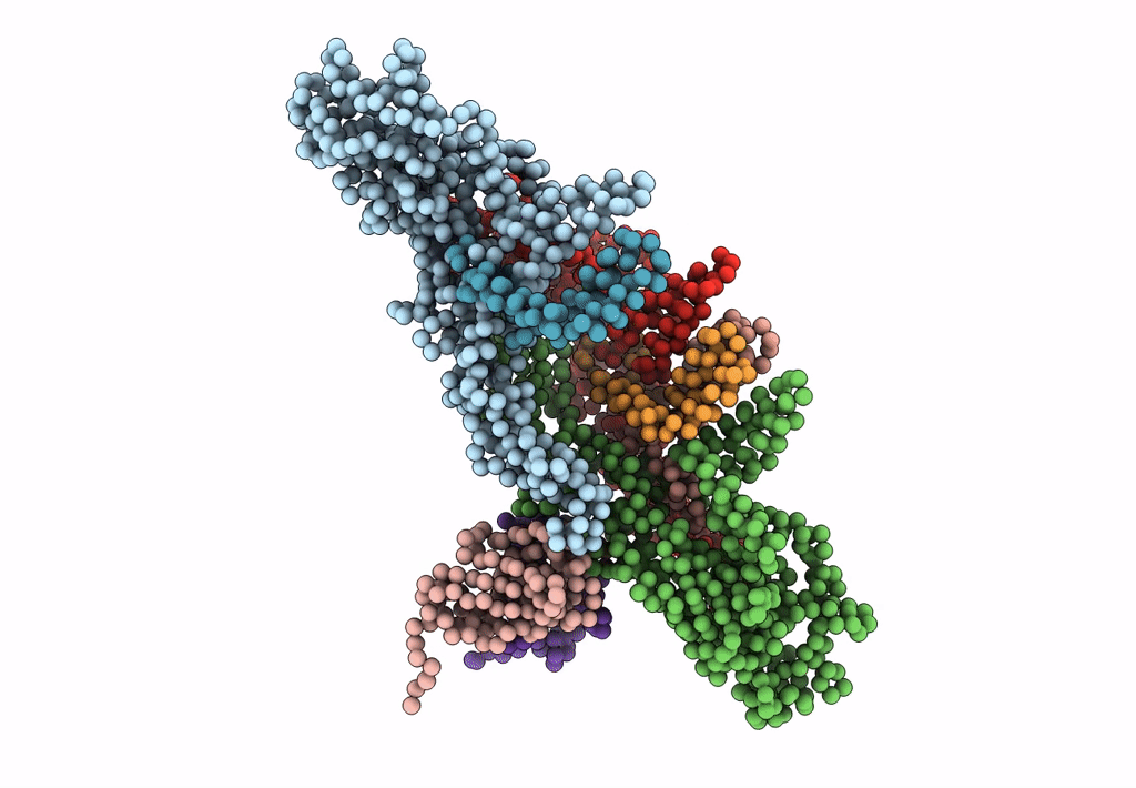 3J6U image