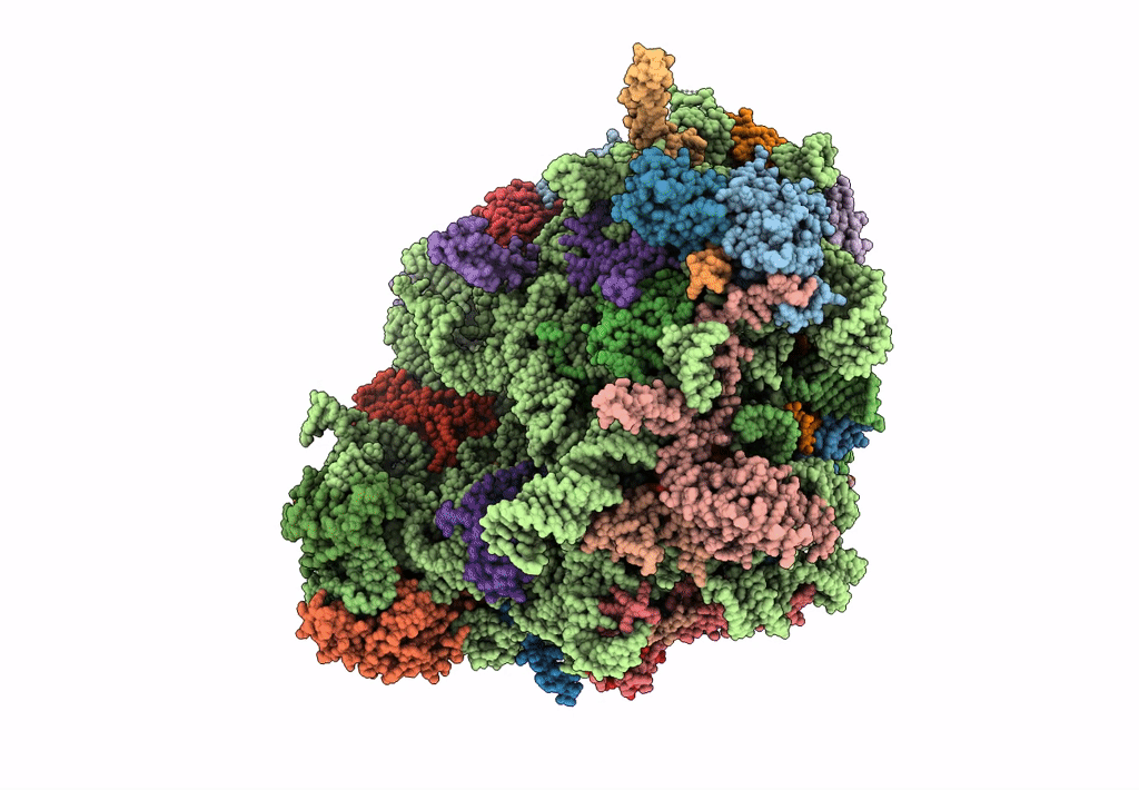 3J79 image