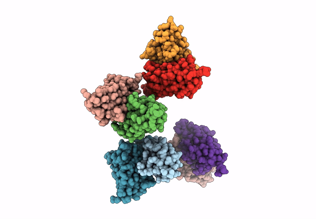 3J7E image