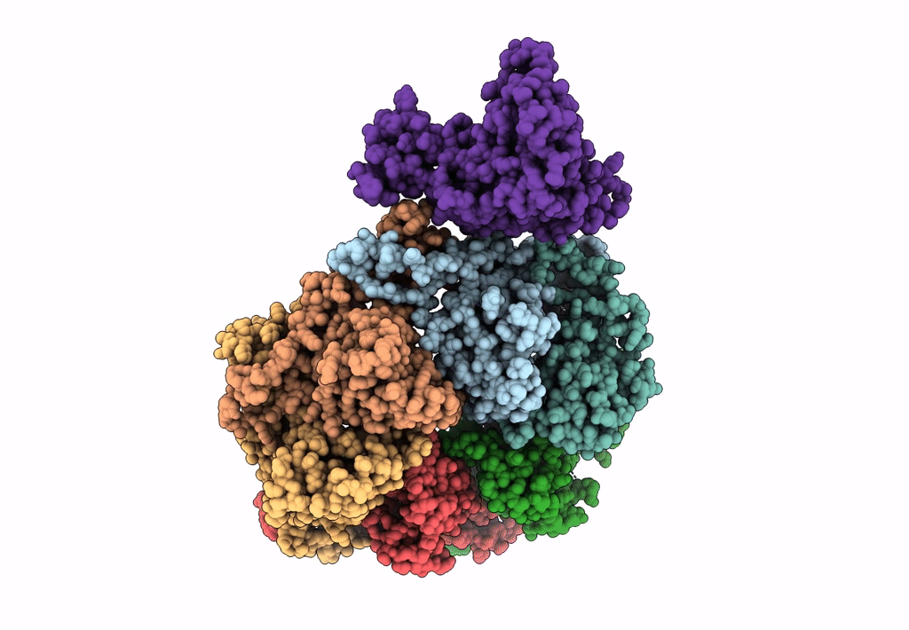 3J7V image