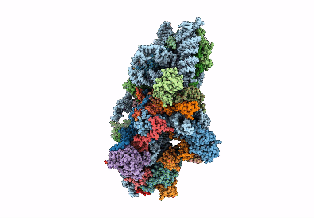 3J80 image