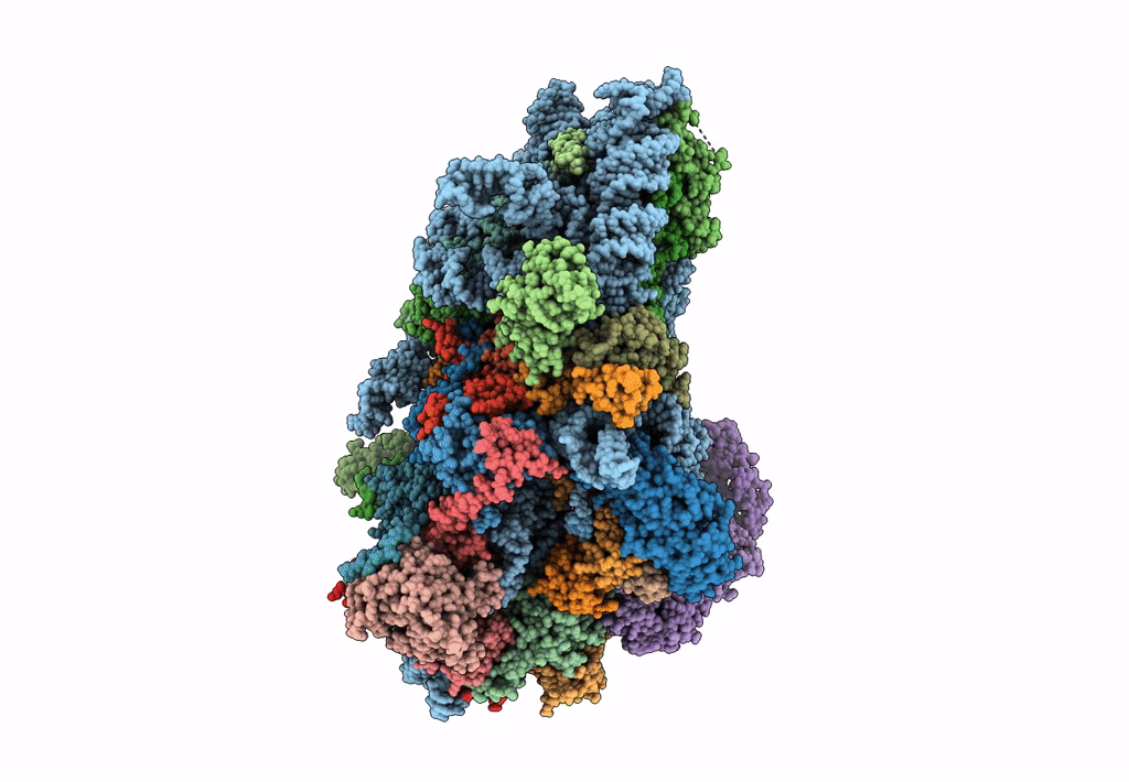 3J81 image