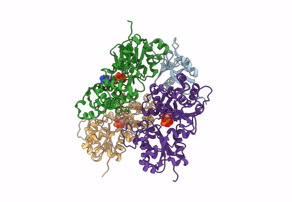 3J82 image