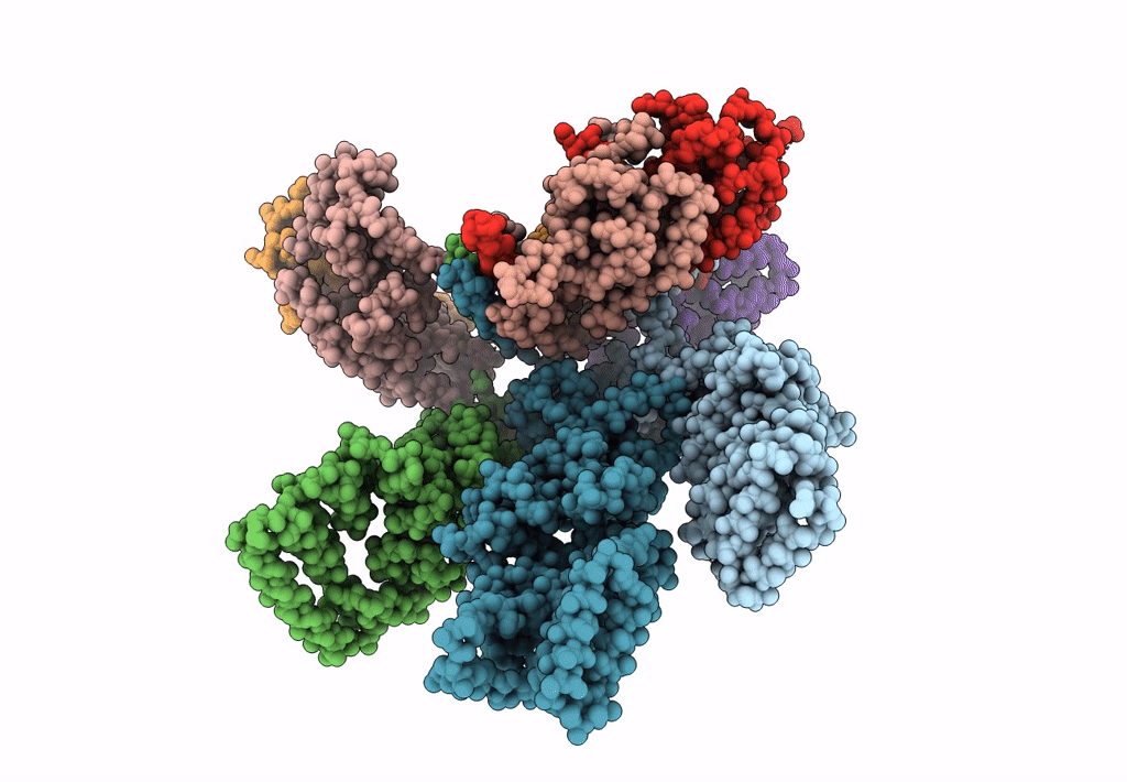 3J8B image